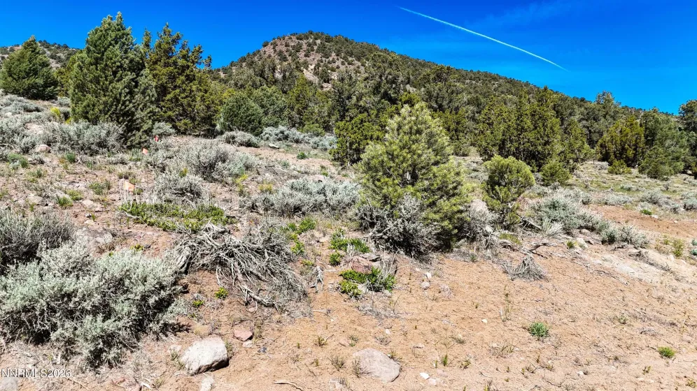 2120 Castle Peak, Reno, Nevada 89521, ,Land,Residential,Castle Peak,0,260006015