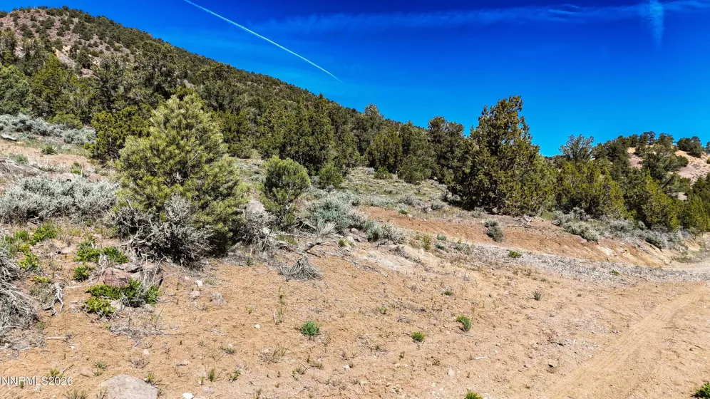 2120 Castle Peak, Reno, Nevada 89521, ,Land,Residential,Castle Peak,0,260006015