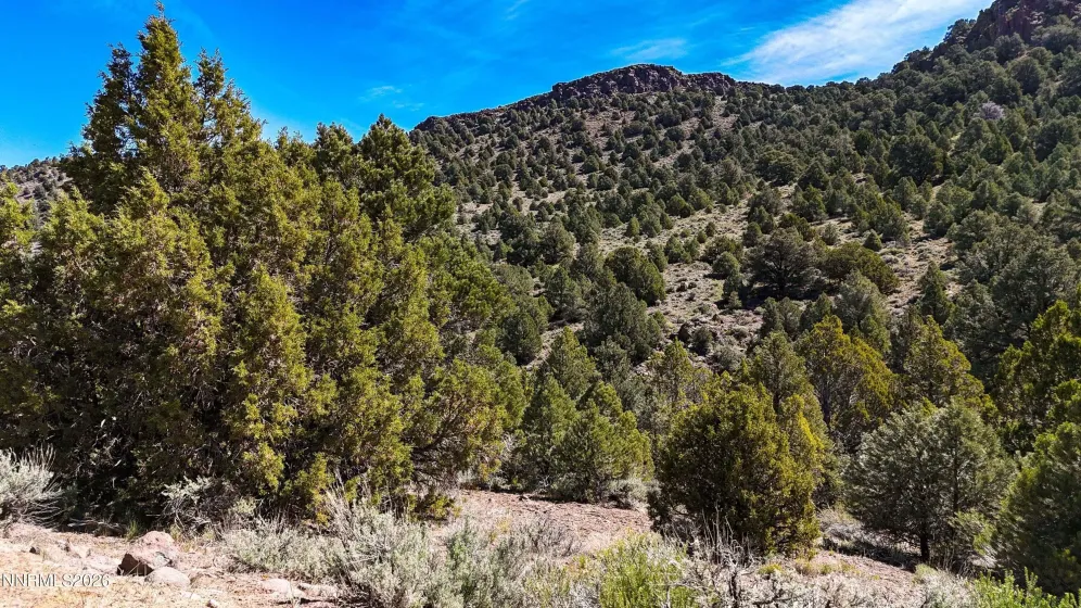 2120 Castle Peak, Reno, Nevada 89521, ,Land,Residential,Castle Peak,0,260006015