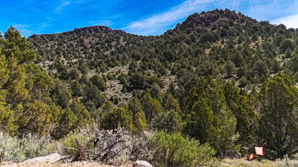2120 Castle Peak, Reno, Nevada 89521, ,Land,Residential,Castle Peak,0,260006015