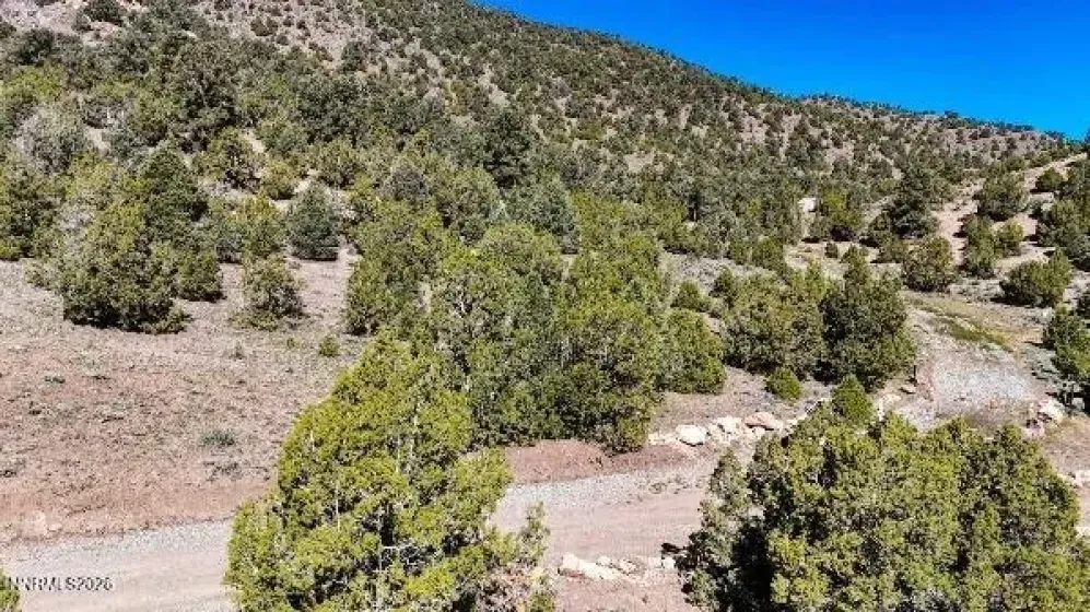2120 Castle Peak, Reno, Nevada 89521, ,Land,Residential,Castle Peak,0,260006015