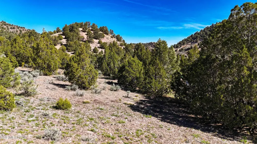 2120 Castle Peak, Reno, Nevada 89521, ,Land,Residential,Castle Peak,0,260006015