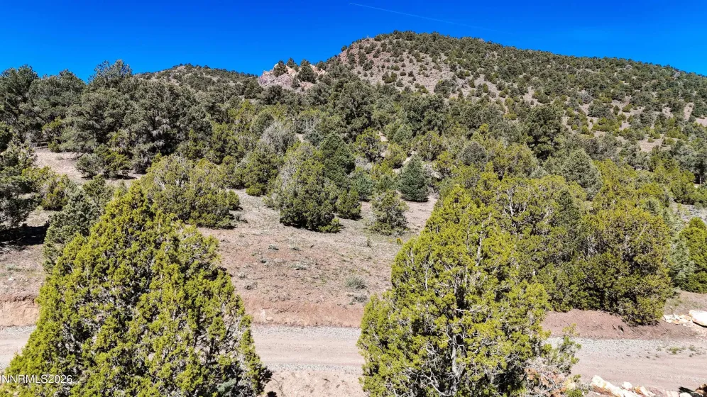 2120 Castle Peak, Reno, Nevada 89521, ,Land,Residential,Castle Peak,0,260006015