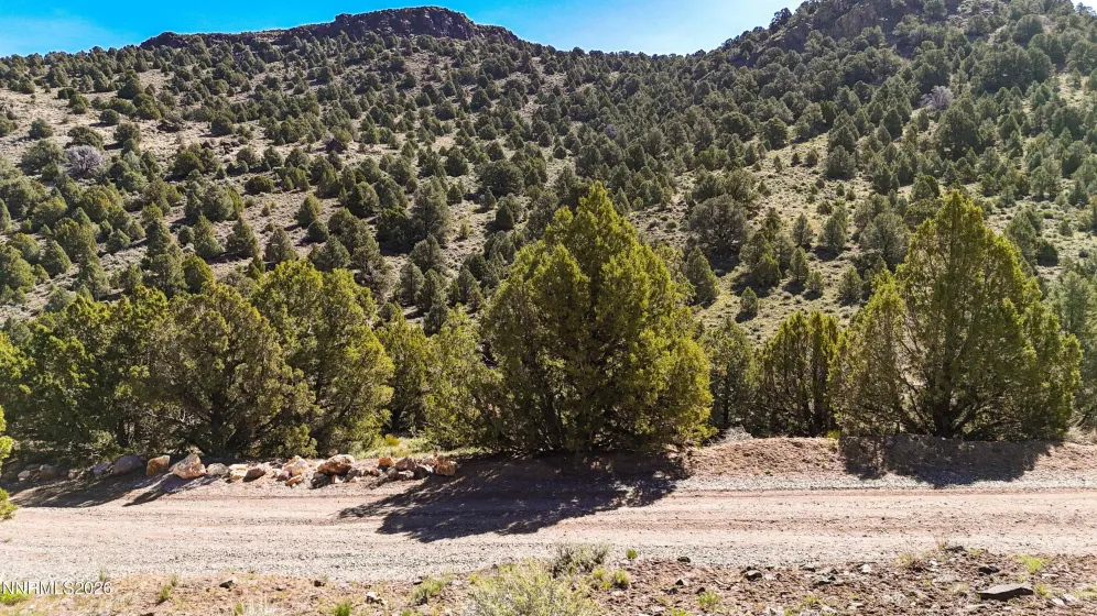 2120 Castle Peak, Reno, Nevada 89521, ,Land,Residential,Castle Peak,0,260006015