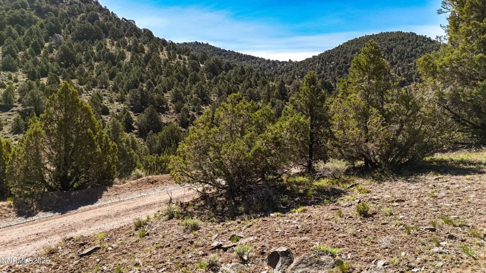2120 Castle Peak, Reno, Nevada 89521, ,Land,Residential,Castle Peak,0,260006015