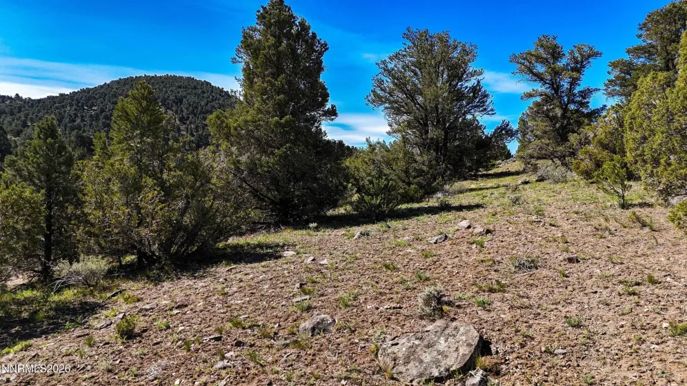 2120 Castle Peak, Reno, Nevada 89521, ,Land,Residential,Castle Peak,0,260006015