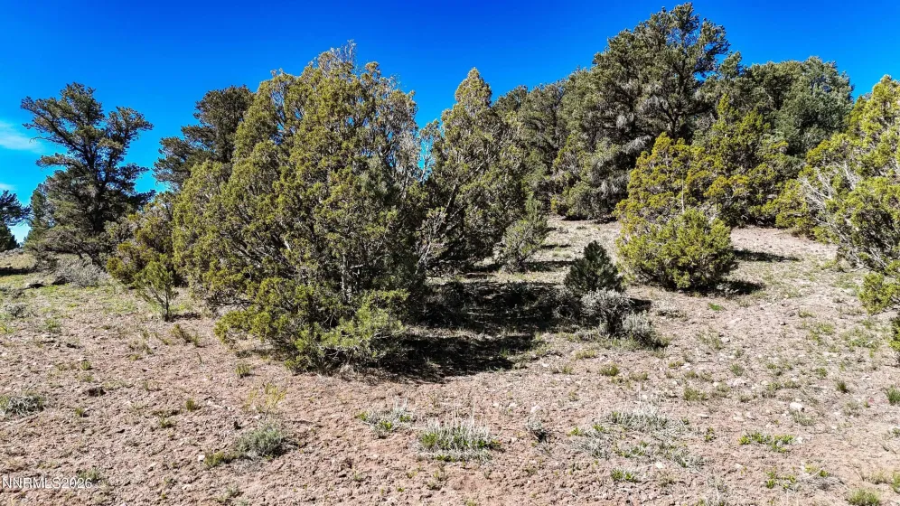 2120 Castle Peak, Reno, Nevada 89521, ,Land,Residential,Castle Peak,0,260006015