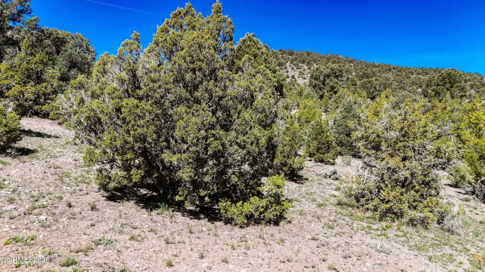 2120 Castle Peak, Reno, Nevada 89521, ,Land,Residential,Castle Peak,0,260006015