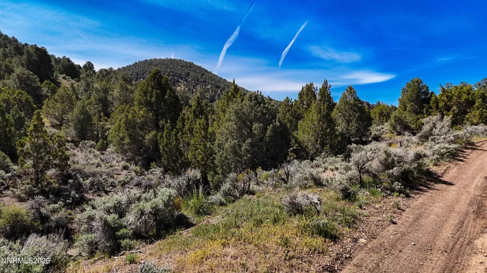 2120 Castle Peak, Reno, Nevada 89521, ,Land,Residential,Castle Peak,0,260006015