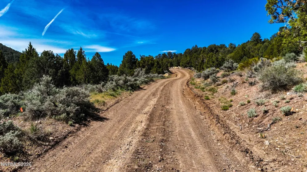 2120 Castle Peak, Reno, Nevada 89521, ,Land,Residential,Castle Peak,0,260006015