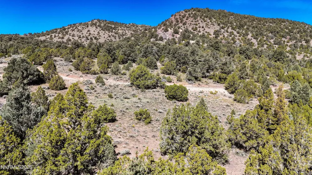 2120 Castle Peak, Reno, Nevada 89521, ,Land,Residential,Castle Peak,0,260006015