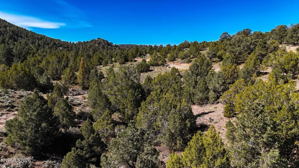 2120 Castle Peak, Reno, Nevada 89521, ,Land,Residential,Castle Peak,0,260006015