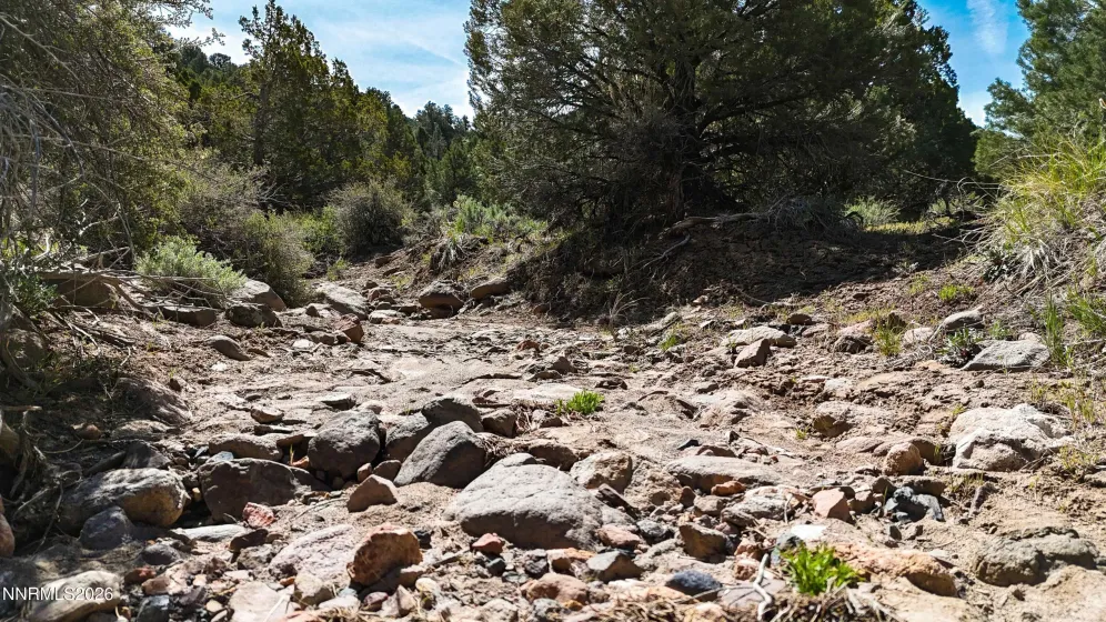 2120 Castle Peak, Reno, Nevada 89521, ,Land,Residential,Castle Peak,0,260006015