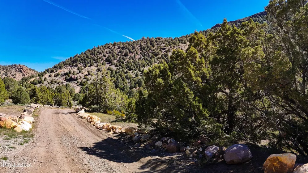 2120 Castle Peak, Reno, Nevada 89521, ,Land,Residential,Castle Peak,0,260006015