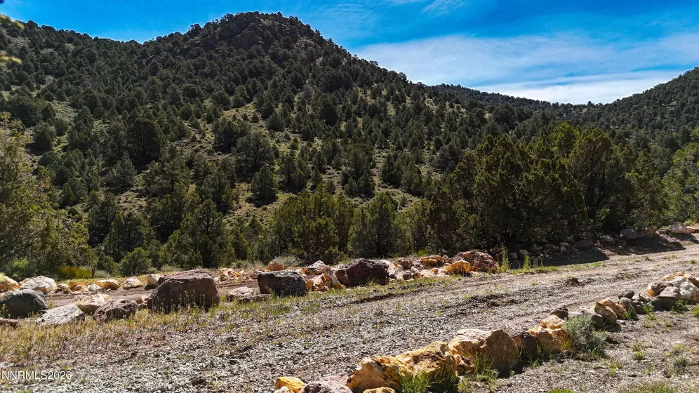 2120 Castle Peak, Reno, Nevada 89521, ,Land,Residential,Castle Peak,0,260006015