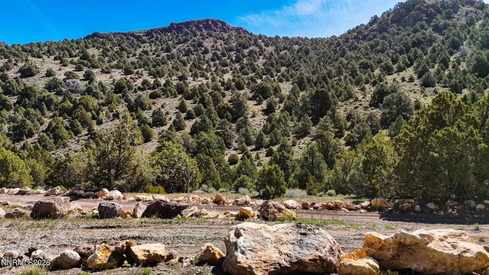 2120 Castle Peak, Reno, Nevada 89521, ,Land,Residential,Castle Peak,0,260006015