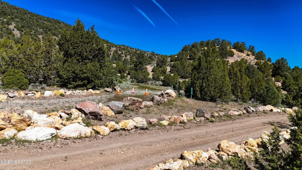 2120 Castle Peak, Reno, Nevada 89521, ,Land,Residential,Castle Peak,0,260006015