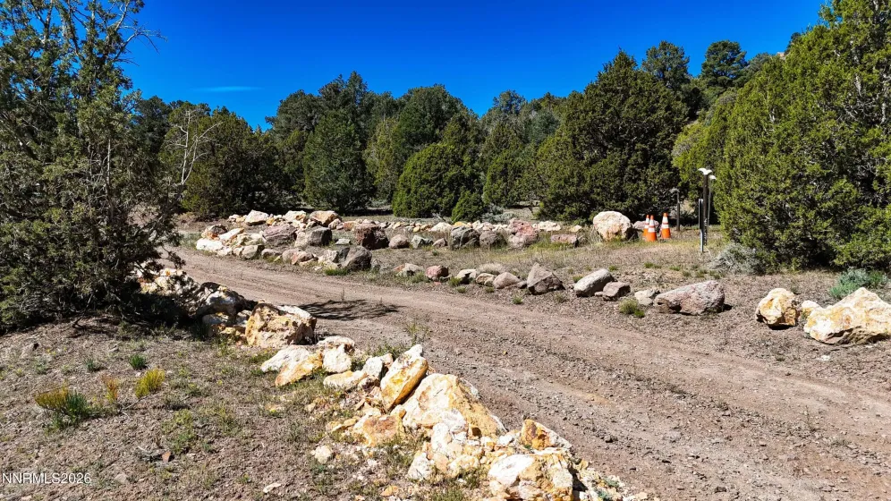 2120 Castle Peak, Reno, Nevada 89521, ,Land,Residential,Castle Peak,0,260006015