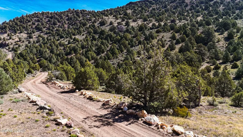 2120 Castle Peak, Reno, Nevada 89521, ,Land,Residential,Castle Peak,0,260006015