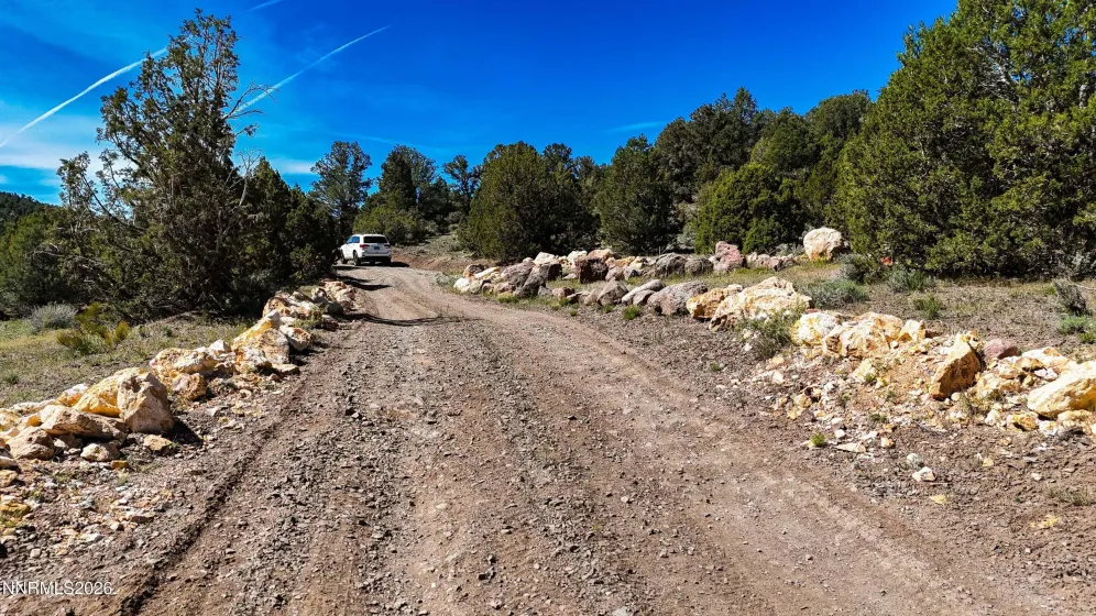 2120 Castle Peak, Reno, Nevada 89521, ,Land,Residential,Castle Peak,0,260006015