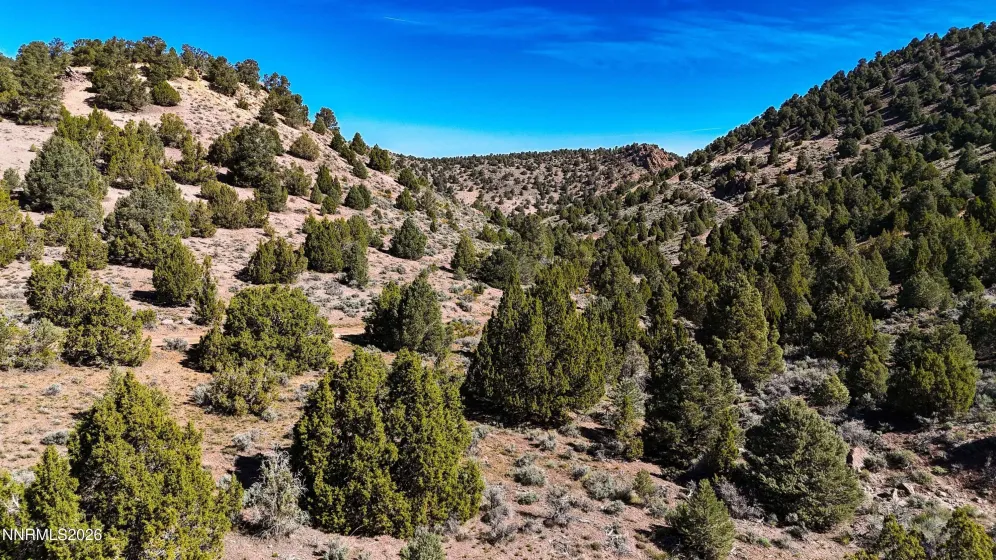 2120 Castle Peak, Reno, Nevada 89521, ,Land,Residential,Castle Peak,0,260006015