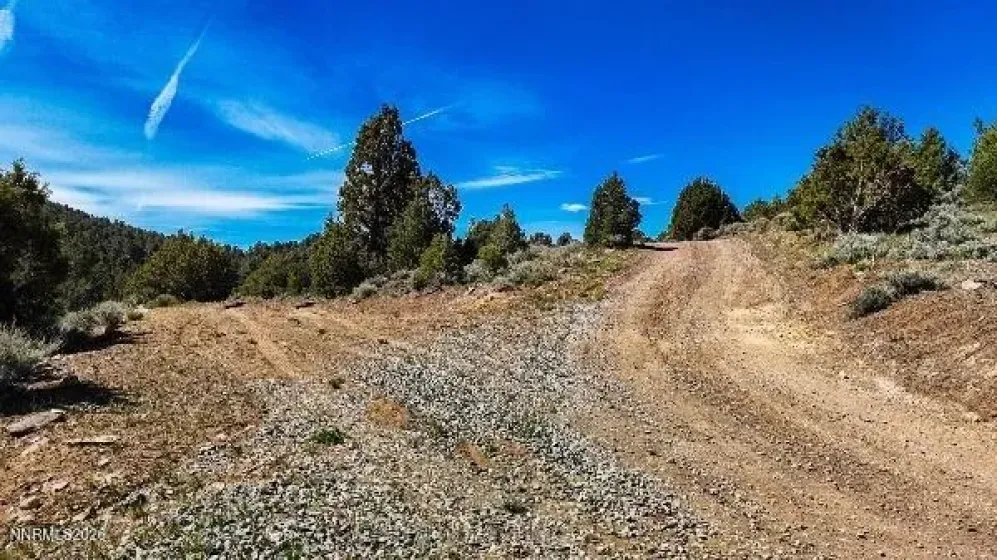 2120 Castle Peak, Reno, Nevada 89521, ,Land,Residential,Castle Peak,0,260006015