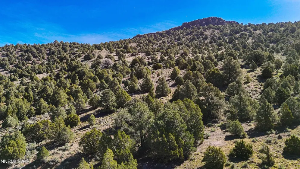2120 Castle Peak, Reno, Nevada 89521, ,Land,Residential,Castle Peak,0,260006015