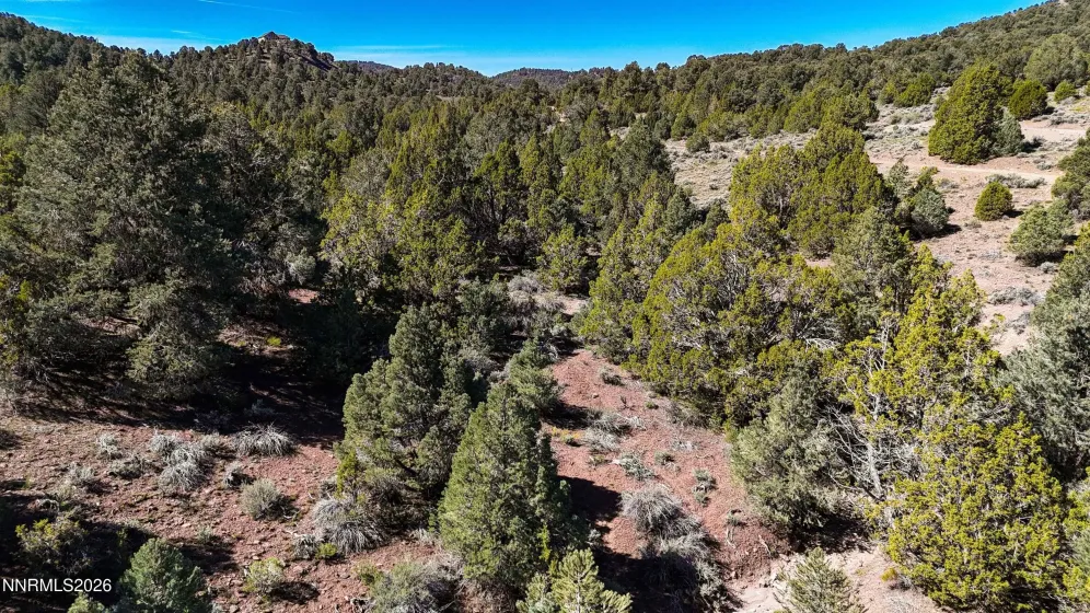2120 Castle Peak, Reno, Nevada 89521, ,Land,Residential,Castle Peak,0,260006015