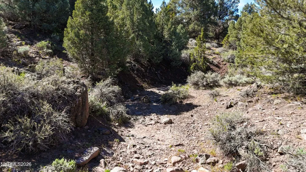 2120 Castle Peak, Reno, Nevada 89521, ,Land,Residential,Castle Peak,0,260006015
