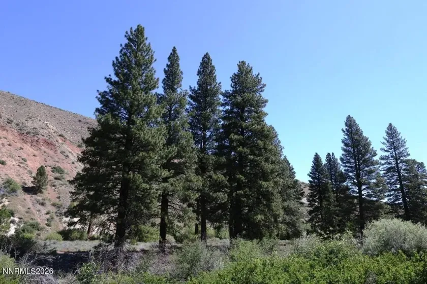 401 River Pines, Verdi, Nevada 89439, ,Land,Residential,River Pines,0,260006142