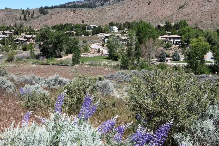 401 River Pines, Verdi, Nevada 89439, ,Land,Residential,River Pines,0,260006142