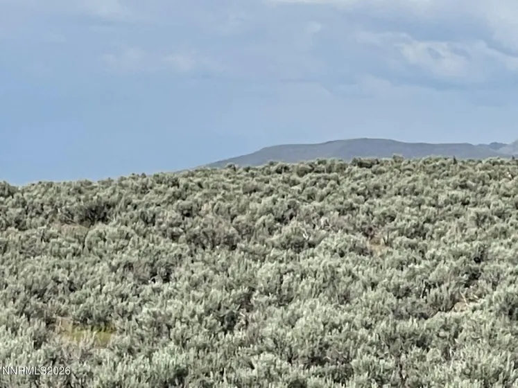10 Button Point, Golconda, Nevada 89414, ,Land,Residential,Button Point,0,260006266