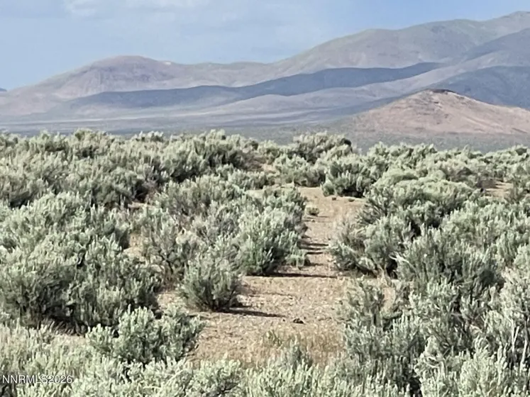 10 Button Point, Golconda, Nevada 89414, ,Land,Residential,Button Point,0,260006266