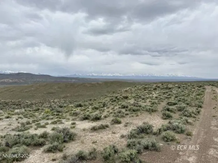 6.6 Pine, Elko, Nevada 89801, ,Land,Residential,Pine,0,260006277