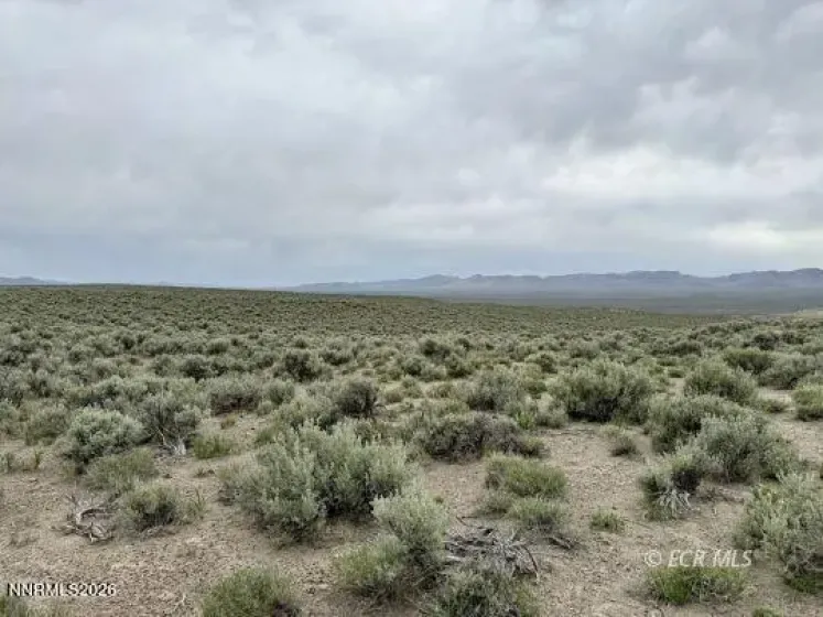 6.6 Pine, Elko, Nevada 89801, ,Land,Residential,Pine,0,260006277