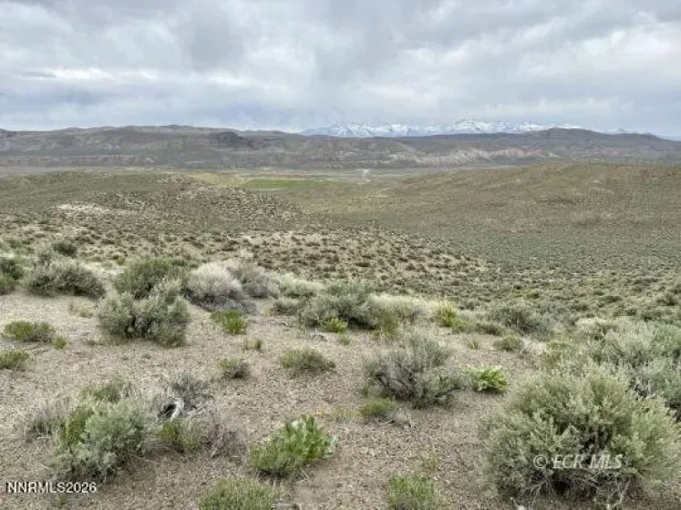 6.6 Pine, Elko, Nevada 89801, ,Land,Residential,Pine,0,260006277