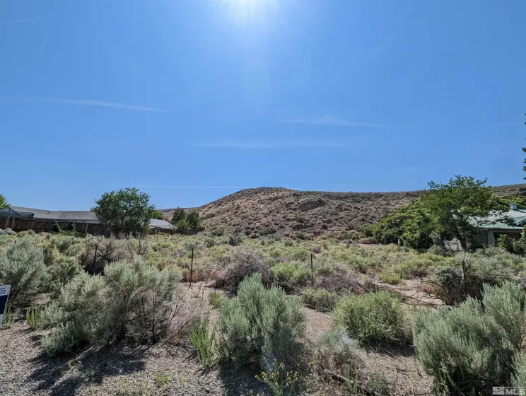 665 Pike, Dayton, Nevada 89403, ,Land,Residential,Pike,0,260006288