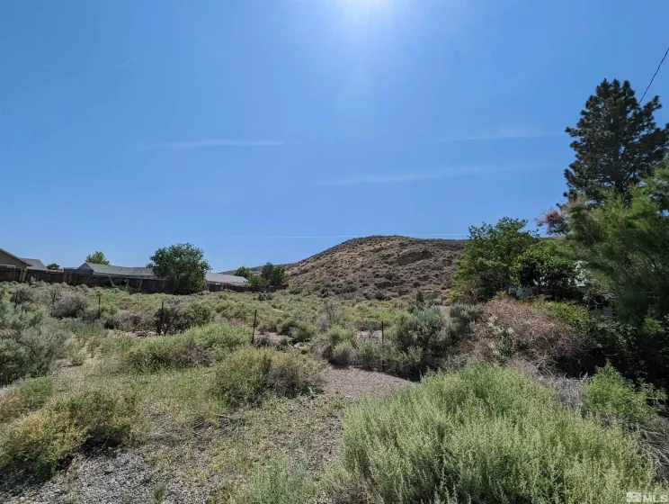 665 Pike, Dayton, Nevada 89403, ,Land,Residential,Pike,0,260006288