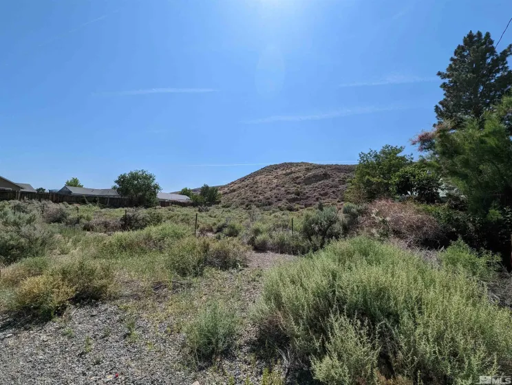665 Pike, Dayton, Nevada 89403, ,Land,Residential,Pike,0,260006288