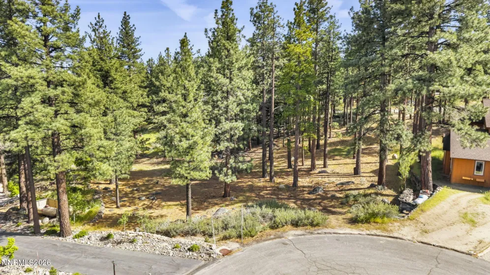 40 Myrtlewood, Reno, Nevada 89511, ,Land,Residential,Myrtlewood,0,260006357