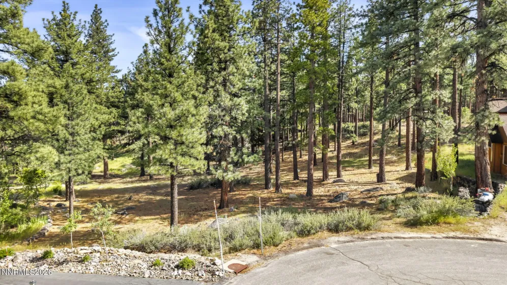 40 Myrtlewood, Reno, Nevada 89511, ,Land,Residential,Myrtlewood,0,260006357