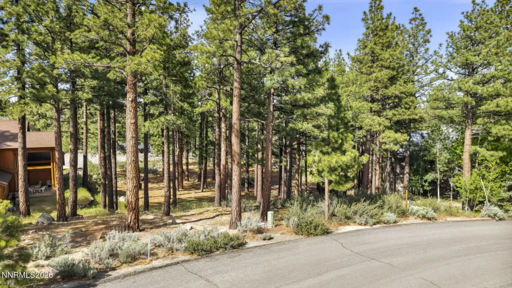 40 Myrtlewood, Reno, Nevada 89511, ,Land,Residential,Myrtlewood,0,260006357