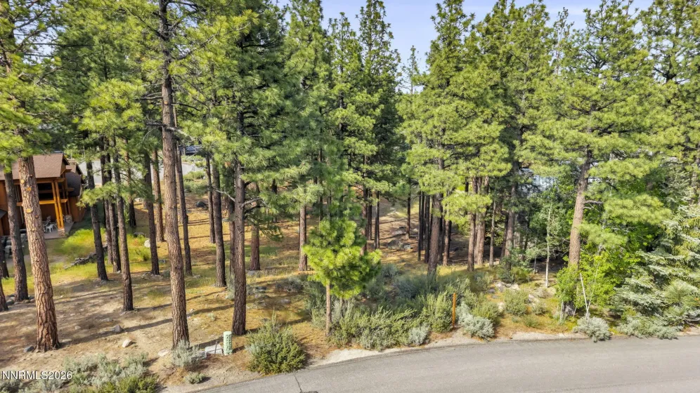 40 Myrtlewood, Reno, Nevada 89511, ,Land,Residential,Myrtlewood,0,260006357