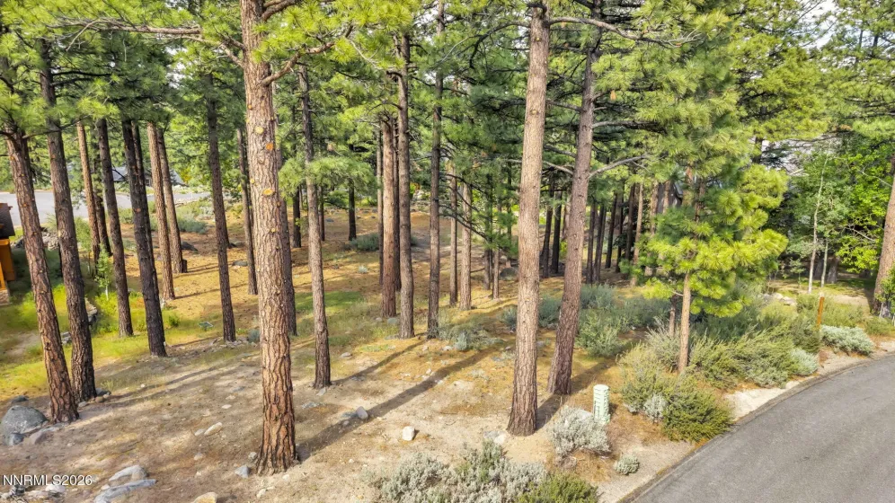 40 Myrtlewood, Reno, Nevada 89511, ,Land,Residential,Myrtlewood,0,260006357