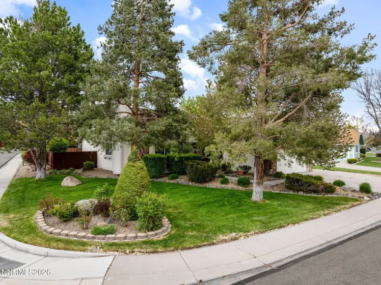 1709 Lantana, Minden, Nevada 89423, 3 Bedrooms Bedrooms, ,2 BathroomsBathrooms,Residential,Residential,Lantana,0,260004643