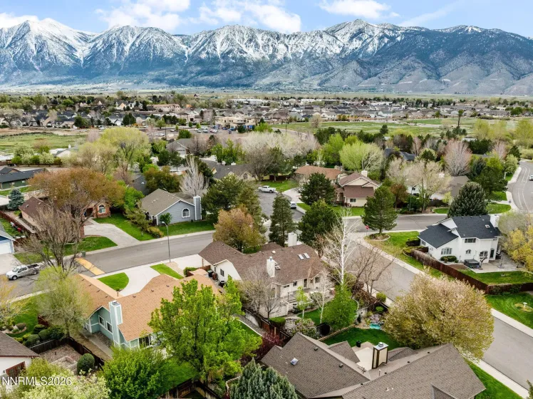 1709 Lantana, Minden, Nevada 89423, 3 Bedrooms Bedrooms, ,2 BathroomsBathrooms,Residential,Residential,Lantana,0,260004643