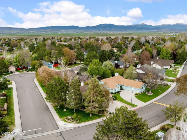 1709 Lantana, Minden, Nevada 89423, 3 Bedrooms Bedrooms, ,2 BathroomsBathrooms,Residential,Residential,Lantana,0,260004643