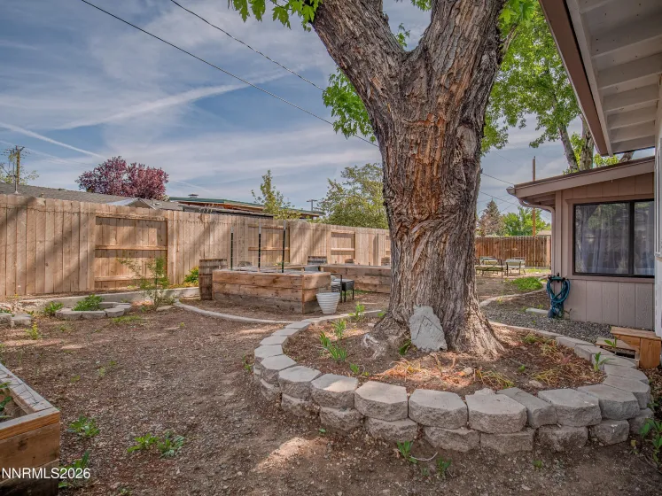 1314 Toiyabe, Gardnerville, Nevada 89410, 3 Bedrooms Bedrooms, ,2 BathroomsBathrooms,Residential,Residential,Toiyabe,0,260006479