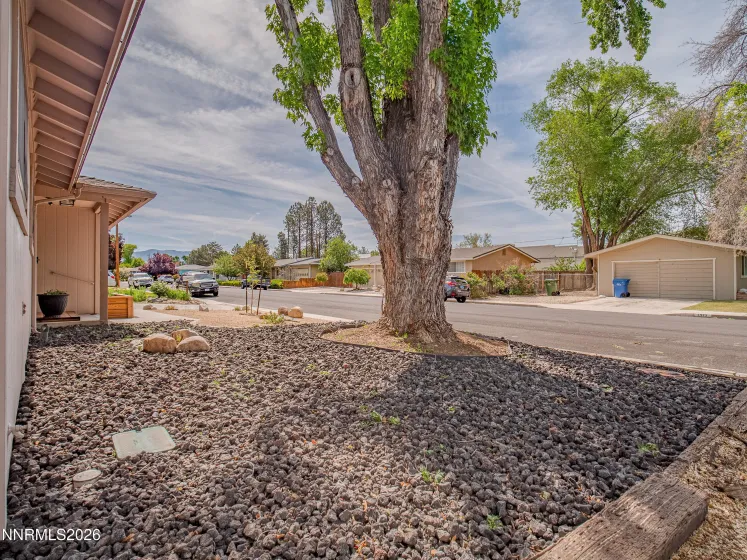 1314 Toiyabe, Gardnerville, Nevada 89410, 3 Bedrooms Bedrooms, ,2 BathroomsBathrooms,Residential,Residential,Toiyabe,0,260006479