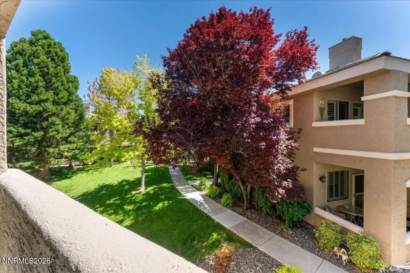 900 South Meadows, Reno, Nevada 89521, 2 Bedrooms Bedrooms, ,2 BathroomsBathrooms,Residential,Residential,South Meadows,0,260005975
